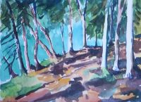 wanderweg_am_walchensee.jpg